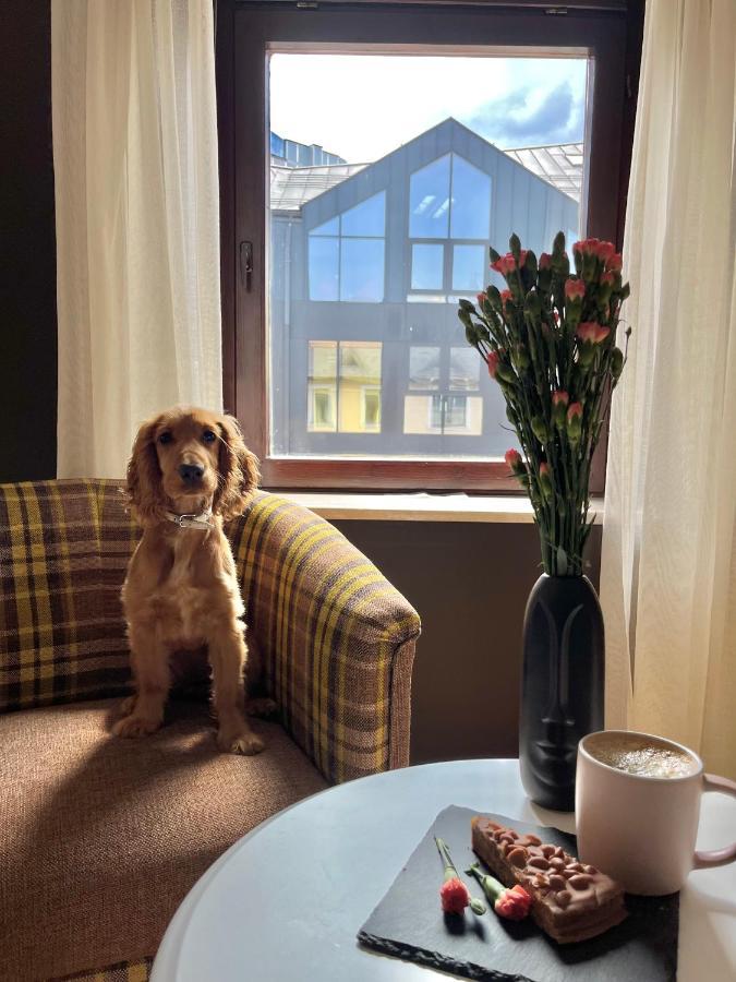 Apartament Grand Krupowki 47 Zakopane Eksteriør billede